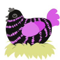 Dark Sandwich, a black and orchid chicken with a bar pattern