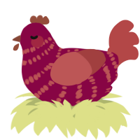 A maroon and red chicken with a bar pattern