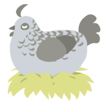 A mist and ash chicken with a half-lace pattern