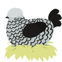 A silver and sable chicken with a lace pattern