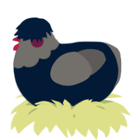 A tumblr and grey chicken with a head pattern