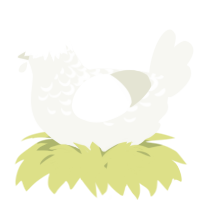 A white chicken with a half-lace pattern