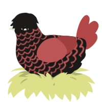 A sable and red chicken with a lace pattern