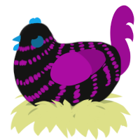A black and plum chicken with a bar pattern