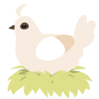 A cream chicken