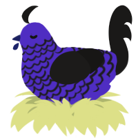 A indigo and sable chicken with a lace pattern
