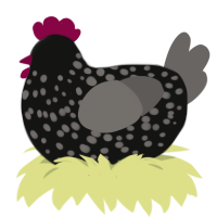 A black and grey chicken with a speckle pattern
