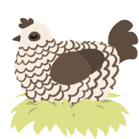 A cream and bark chicken with a lace pattern