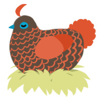 A bark and vermilion chicken with a lace pattern