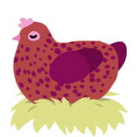 Coral, a red and wine chicken with a speckle pattern
