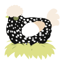 A black and cream chicken with a speckle pattern