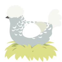 A silver and white chicken with a half-lace pattern