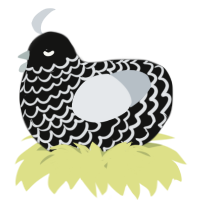 A black and mist chicken with a lace pattern
