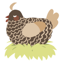 A bark and beige chicken with a lace pattern