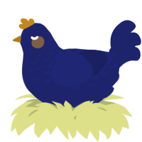 A navy chicken with a half-lace pattern