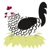 A white and sable chicken with a lace pattern