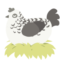A white and grey chicken with a half-lace pattern