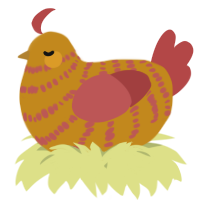 A ochre and red chicken with a bar pattern