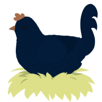Tumblr Savior, a tumblr chicken with a lace pattern