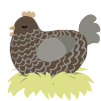 A bark and ash chicken with a lace pattern