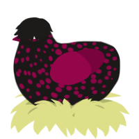 A sable and maroon chicken with a speckle pattern
