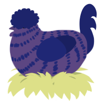 A overcast and navy chicken with a bar pattern
