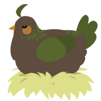 A bark and olive chicken with a neck-speckle pattern