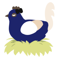 Stormcloud, a navy and cream chicken