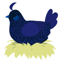 A tumblr and navy chicken with a double-lace pattern