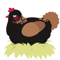 A sable and brown chicken with a neck-speckle pattern
