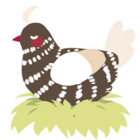 A bark and cream chicken with a bar pattern