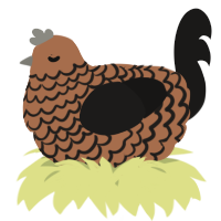 A brown and sable chicken with a lace pattern