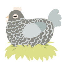 A ash and silver chicken with a lace pattern