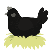 Crow, a black and sable chicken with a half-lace pattern