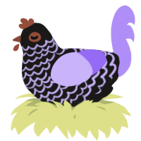 A sable and lilac chicken with a lace pattern