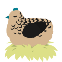 A beige and sable chicken with a half-lace pattern