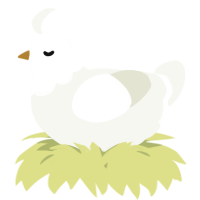 A white chicken with a head pattern