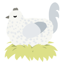 A white and mist chicken with a speckle pattern