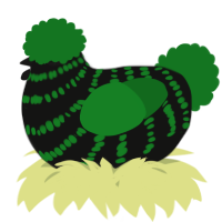 A black and leaf chicken with a bar pattern