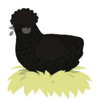 A black and sable chicken with a lace pattern