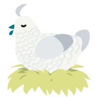 A white and mist chicken with a lace pattern