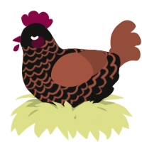 A black and russet chicken with a lace pattern