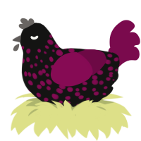 Eñderman, a black and wine chicken with a speckle pattern
