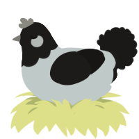 Toodles, a silver and sable chicken with a head pattern