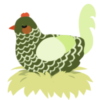 Zucchini, a olive and apple chicken with a lace pattern