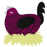 Taffeta, a wine and black chicken with a lace pattern