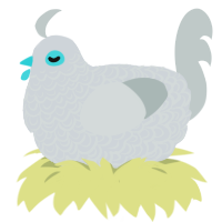 Weathergirl, a mist and silver chicken with a double-lace pattern