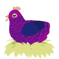 A plum and navy chicken with a lace pattern