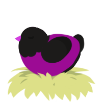 A plum and sable chicken with a head pattern