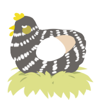 A grey and cream chicken with a bar pattern